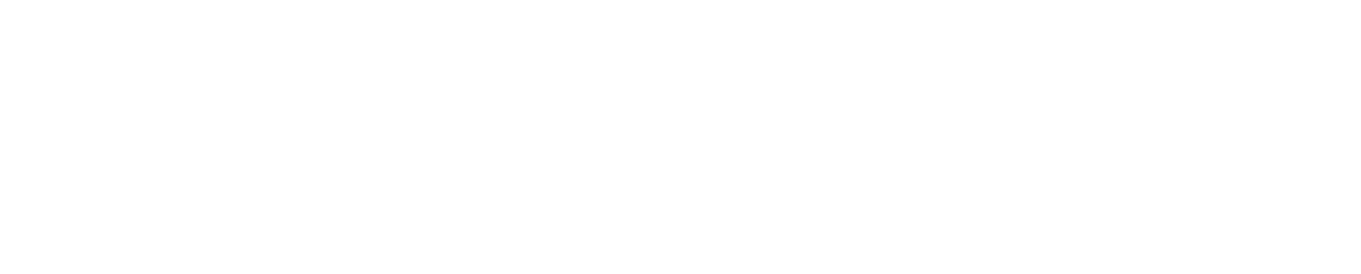 Snapshot Logo in All White